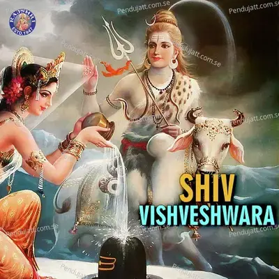 Shiv Vishveshwara - Various Artists cover album