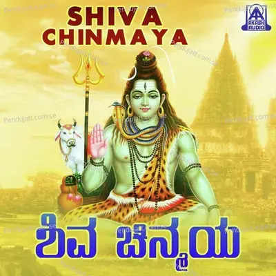 Ninna Namavu - B.R. Chaya album cover 