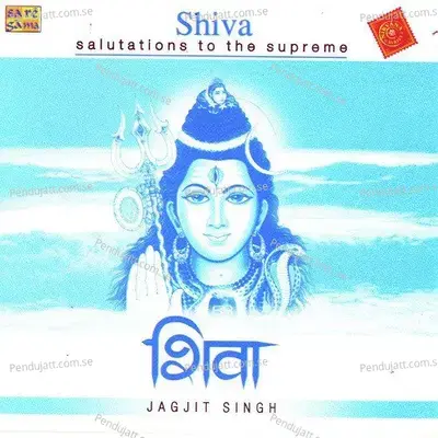 Om Namah Shivay Dhun - Jagjit Singh album cover 