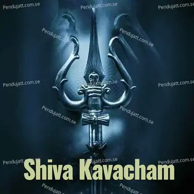 Shiva Kavacham - Veeramani Kannan album cover 