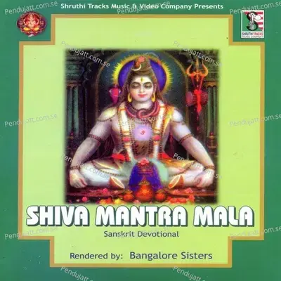 Shiva Mantra Mala - Various Artists cover album