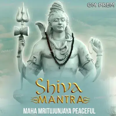 Maha Mritujunjaya Peaceful - Bhakti Bhajan Om Prem album cover 