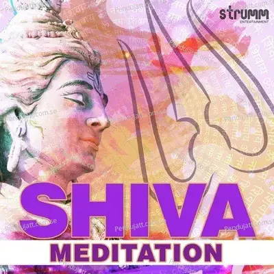 Om Namah Shivay - Sanjeev Chimmalgi album cover 