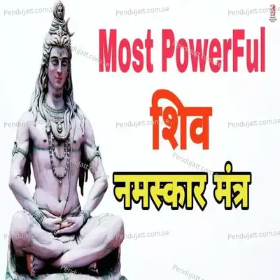 Shiva Namaskar Mantra - Siddharth Shankar Srivastav album cover 