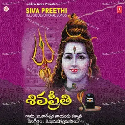 Challani Swami - G. Nageswara Rao Naidu album cover 