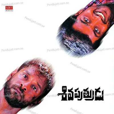 Chirugaali Veechena - Sunitha album cover 