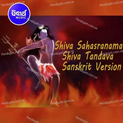 Shiva Sahasranama Shiva Tandaba 1 - Dr. Suchitra Mohapatra album cover 