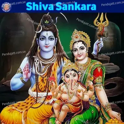 Om Namah Shivaya - Various Artists album cover 