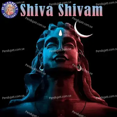 Om Namah Shivaya - 108 Times - Ketan Patwardhan album cover 