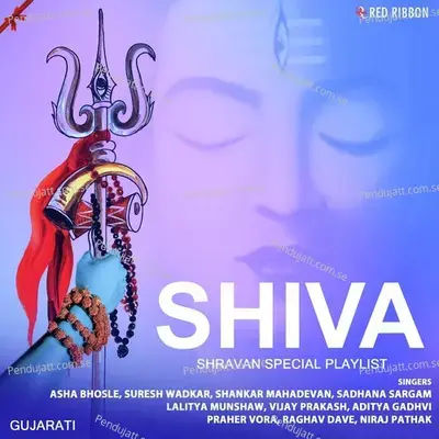 Shiva- Shravan Special Playlist- Gujarati - Various Artists cover album