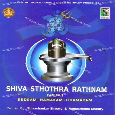 Shiva Sthothra Rathnam Rudram - Namakam - Chamakam - Various Artists cover album