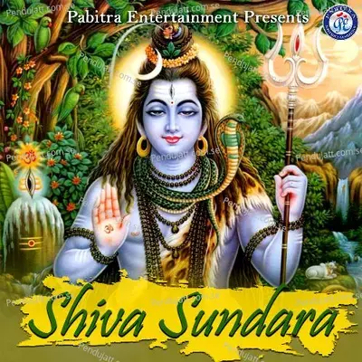 Shiva Sundara - Various Artists cover album