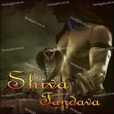 Shiva Tandava - Mahadev album cover 