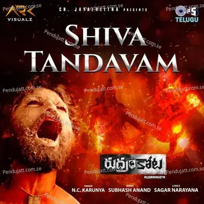 Shiva Tandavam - Subhash Anand album cover 