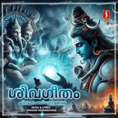 Dhaksinaamoorthi - Vaikkom Veenadharan album cover 