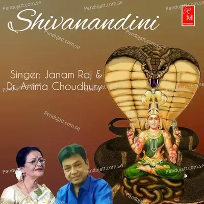 Shivanandini - Janam Raj album cover 