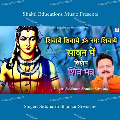 Shivaye Shivaye Om Namah Shivaye - Siddharth Shankar Srivastav album cover 