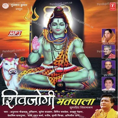 Subah Subah Tu Nis Din - Anuradha Paudwal album cover 