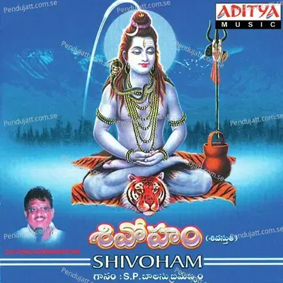 Vishveshwaraya - Nihal album cover 