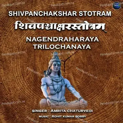 Shivpanchakshar Stotram Nagendraharaya Trilochanaya - Amrita Chaturvedi album cover 