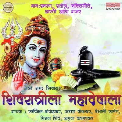 Shiv Namsmaran Ani Stotra - Minal  Karmarkar album cover 