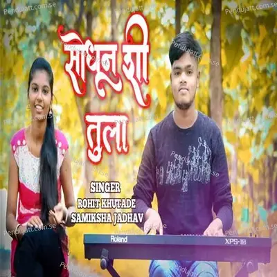 Shodun Shi Tula - Rohit Khutade album cover 