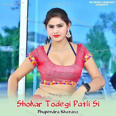 Shokar Todegi Patli Si - Fouji Brothers