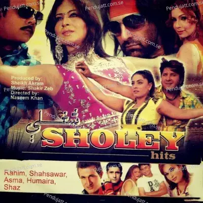 Sholey - Shakir Zeb cover album