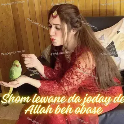 Shom Lewane Da Joday De Allah Beh Obase - Fayaz Khan