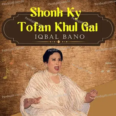 Tanai Ke Raton - Iqbal Bano album cover 