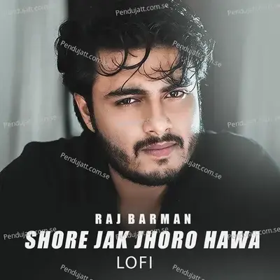 Shore Jak Jhoro Hawa Lofi - Raj Barman album cover 