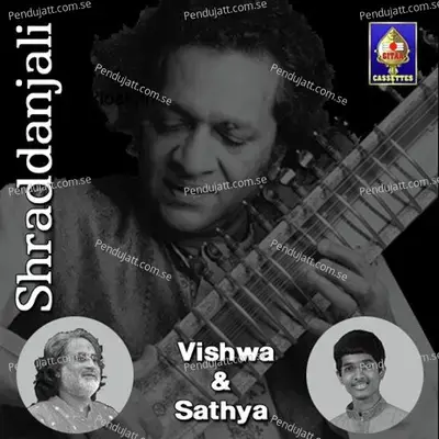 Vaishnava Jana To - Raag Khamaj - Pandit Vishwa Mohan Bhatt album cover 