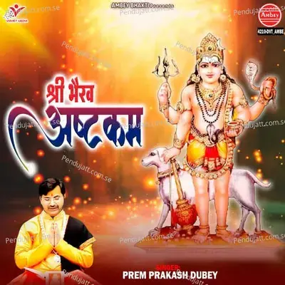 Shree Bhairav Aashtakam - Prem Prakash Dubey album cover 