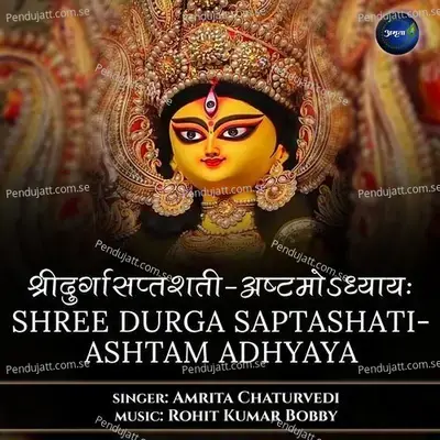 Shree Durga Saptashati-Ashtam Adhyaya - Amrita Chaturvedi album cover 