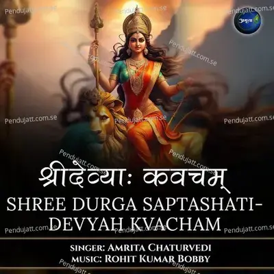 Shree Durga Saptashati-Devyah Kvacham - Amrita Chaturvedi album cover 