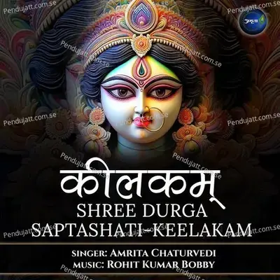Shree Durga Saptashati-Keelakam - Amrita Chaturvedi album cover 