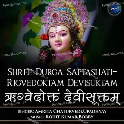 Shree Durga Saptashati-Rigvedoktam Devisuktam - Amrita Chaturvedi album cover 