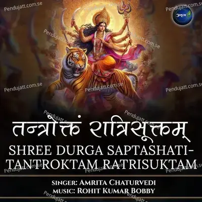 Shree Durga Saptashati-Tantroktam Ratrisuktam - Amrita Chaturvedi album cover 