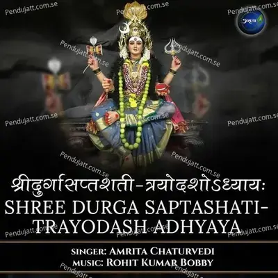 Shree Durga Saptashati-Trayodash Adhyaya - Amrita Chaturvedi album cover 