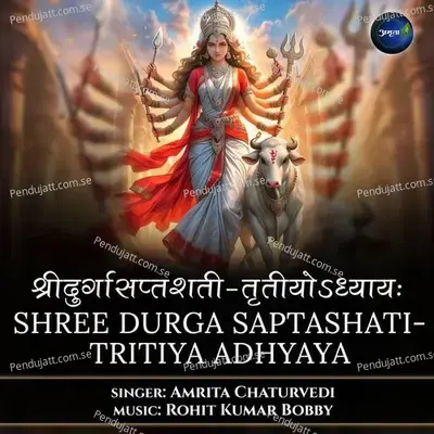 Shree Durga Saptashati-Tritiya Adhyaya - Amrita Chaturvedi album cover 