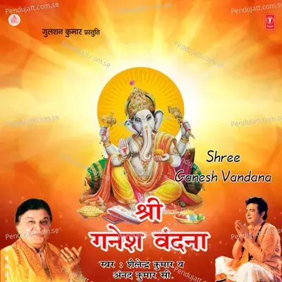 Charno Mein Sheesh Jhuka Ke - Anand Kumar C album cover 