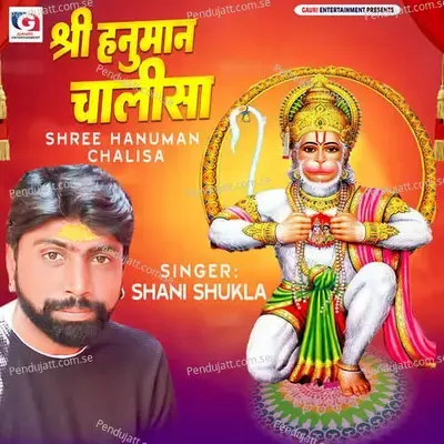 Shree Hanuman Chalisa - Shani Shukla album cover 