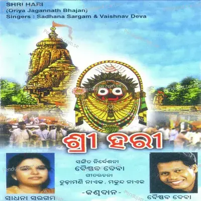 Kallya Hey - Vaishnav Deva album cover 