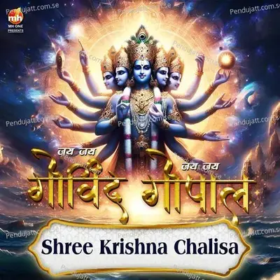 Shree Krishna Chalisa - Vivek Vashishth album cover 