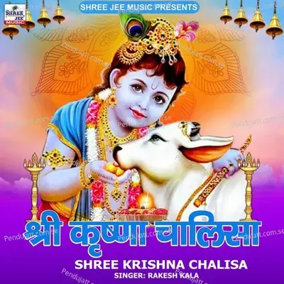 Shree Krishna Chalisa - Rakesh Kala album cover 