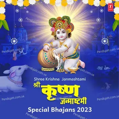 Bhaando Ki Aadhi Raat Janam Liyo - Rajesh Mishra mishra Bandhu album cover 