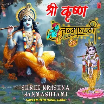 Tuiya Krishanala Kaanhala - Milind Shinde album cover 