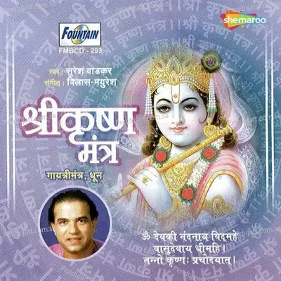 Shree Krishna Mantra - Vilas-Mayuresh cover album