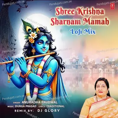 Shree Krishna Sharnam Mamah Lofi Mix - Anuradha Paudwal album cover 