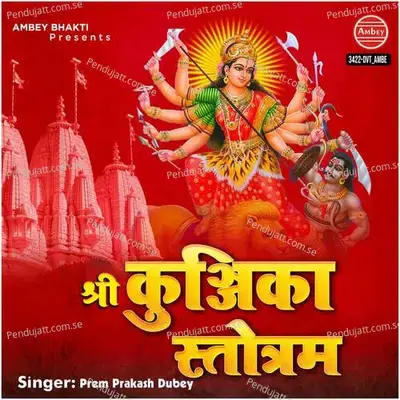 Shree Kunjika Stotram - Prem Prakash Dubey album cover 